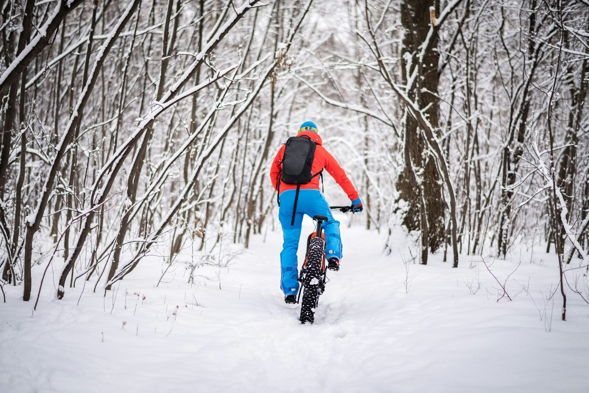 A man, seen from behind, rides a fat-tire bike through a snowy forest on a winter day