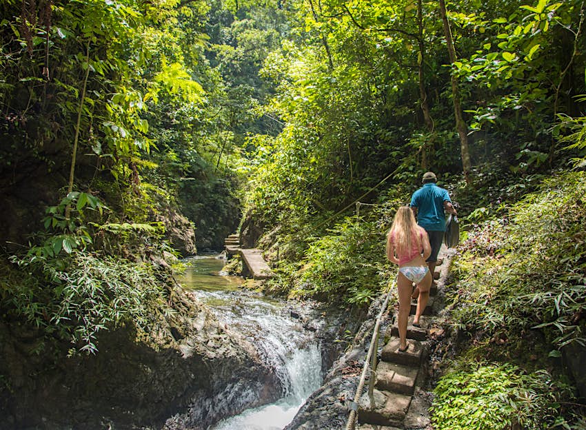 Caminata por la selva tropical de Fiji Un hombre y una mujer caminando por un sendero a través de la selva tropical de Suva en Fiji con un río que fluye junto a ellos