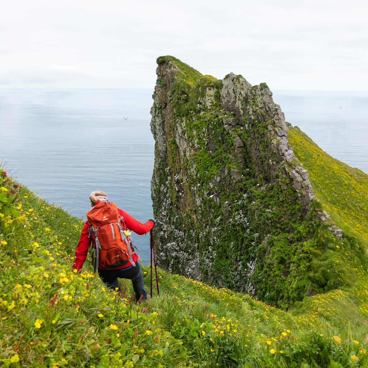 A woman hikes in Hornstrandir Nature Reserve.