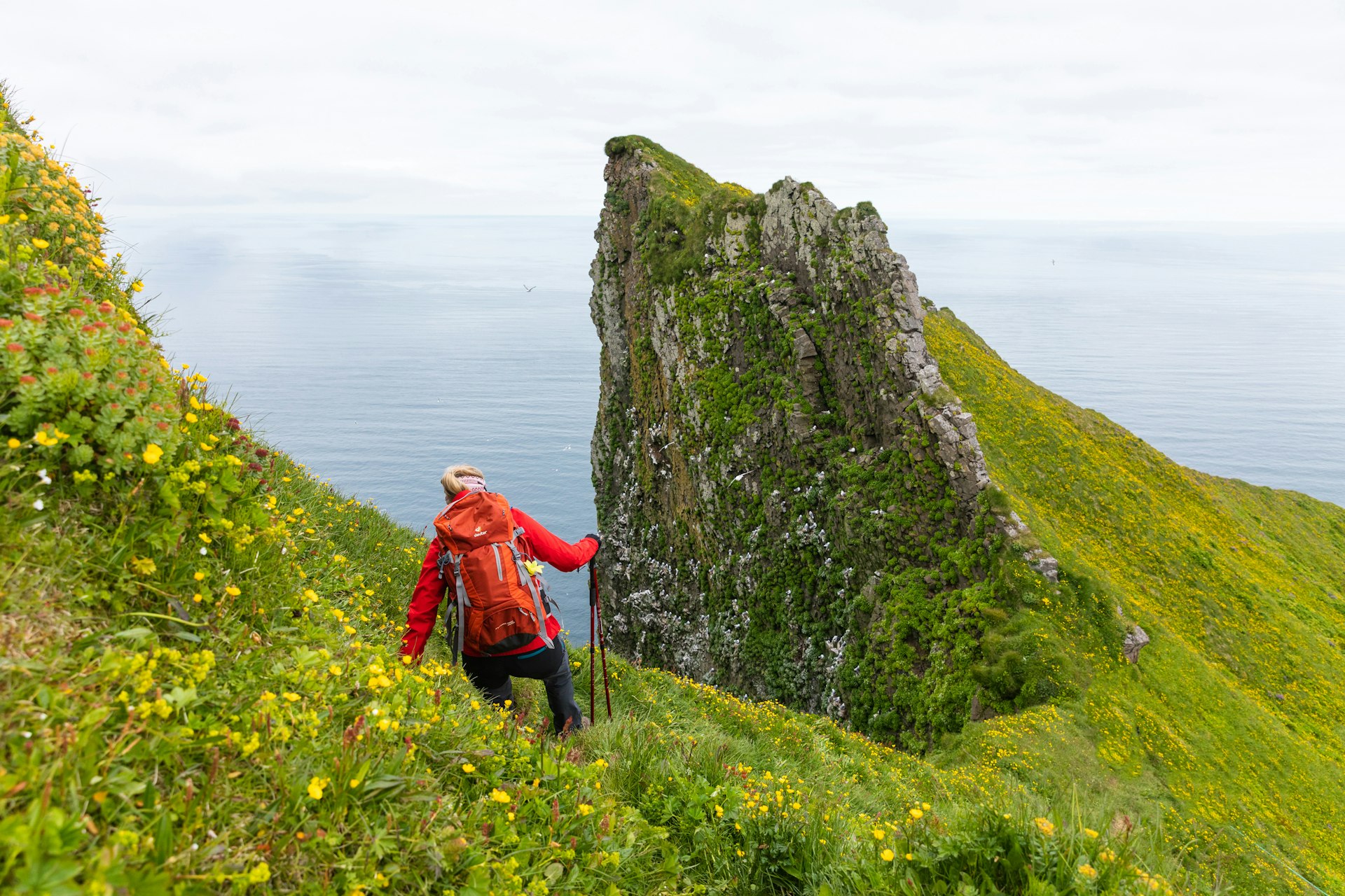 A woman hiking on a steep cliff with the ocean in the background