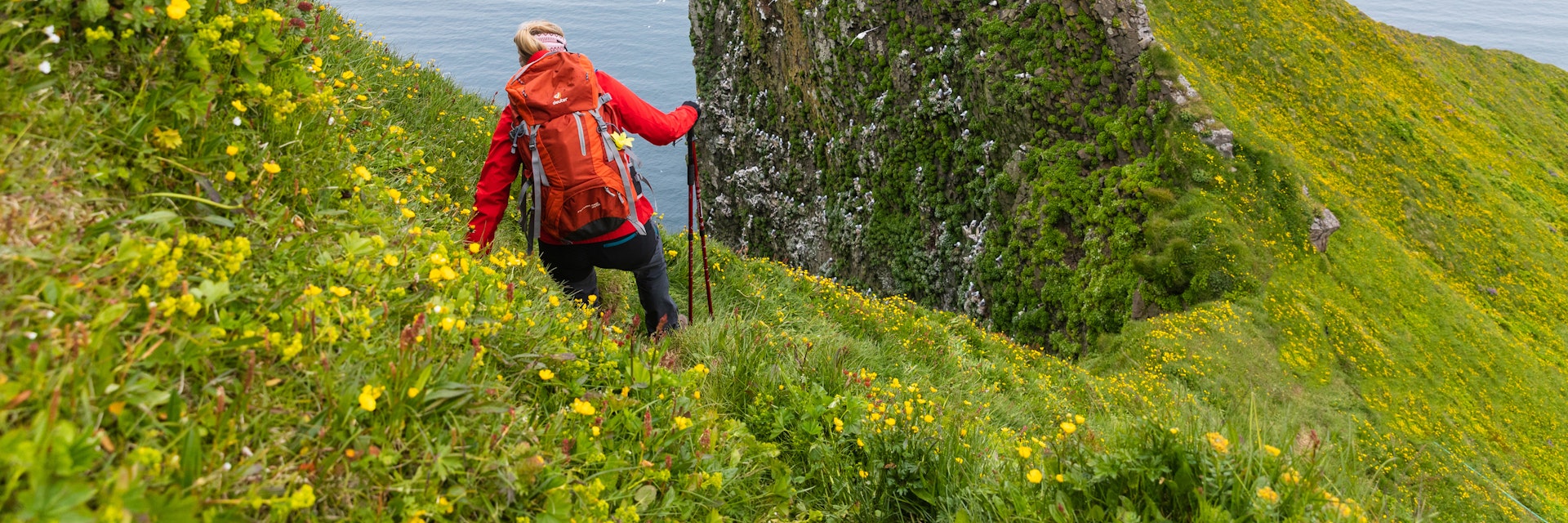 A woman hikes in Hornstrandir Nature Reserve.