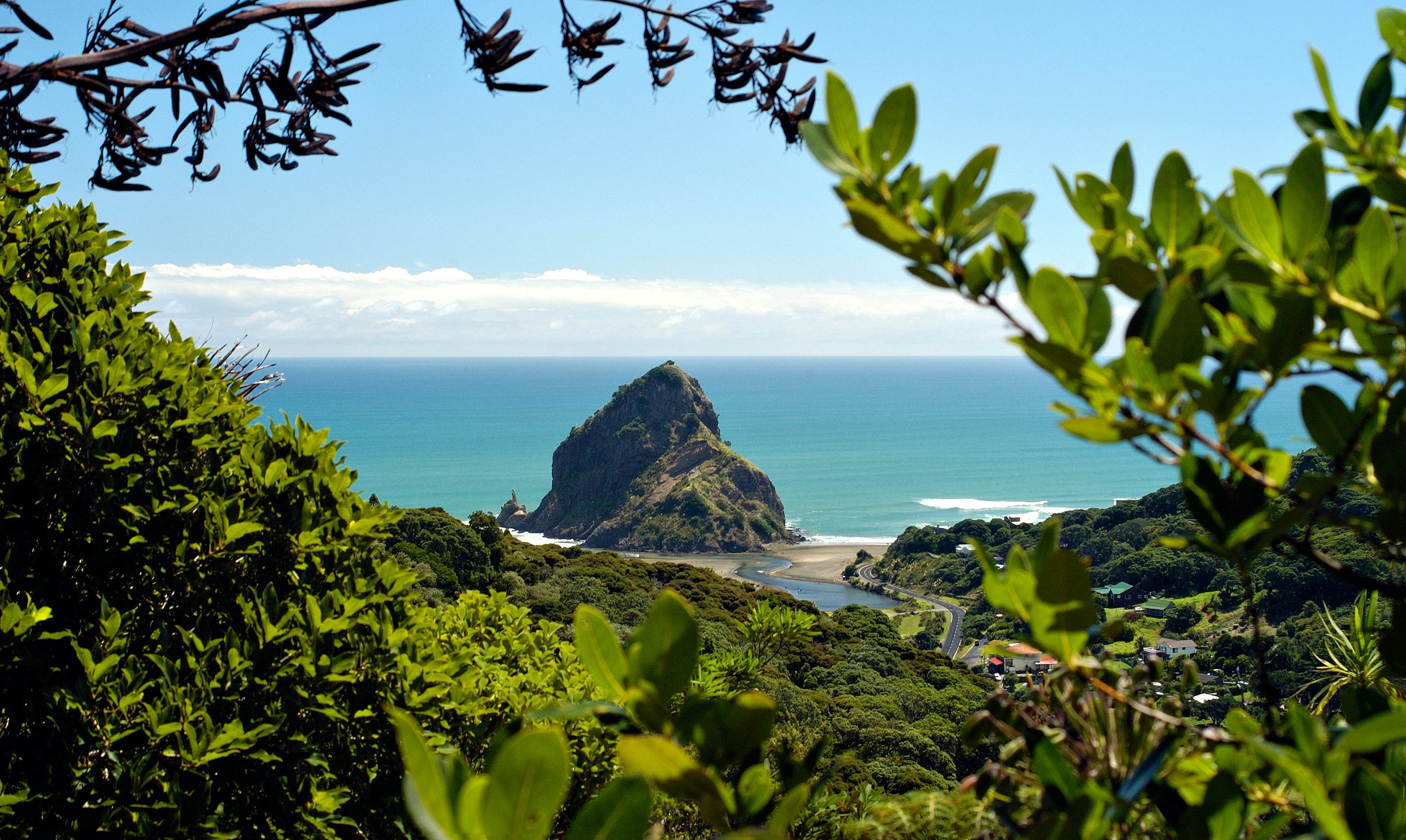 aanval natuurkundige toren Auckland travel - Lonely Planet | New Zealand, Australia & Pacific