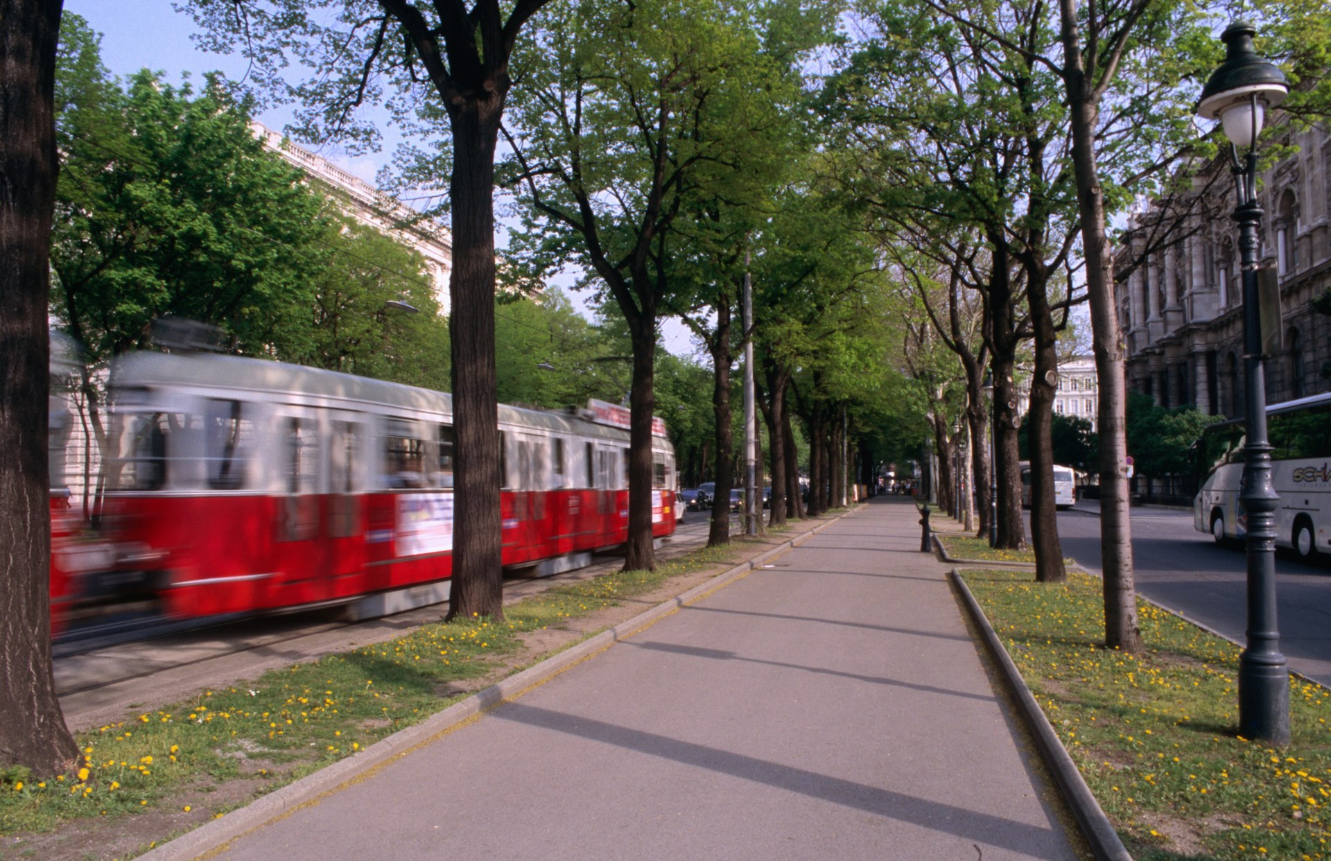 A red tram along the Ringstrasse boulevard, Vienna