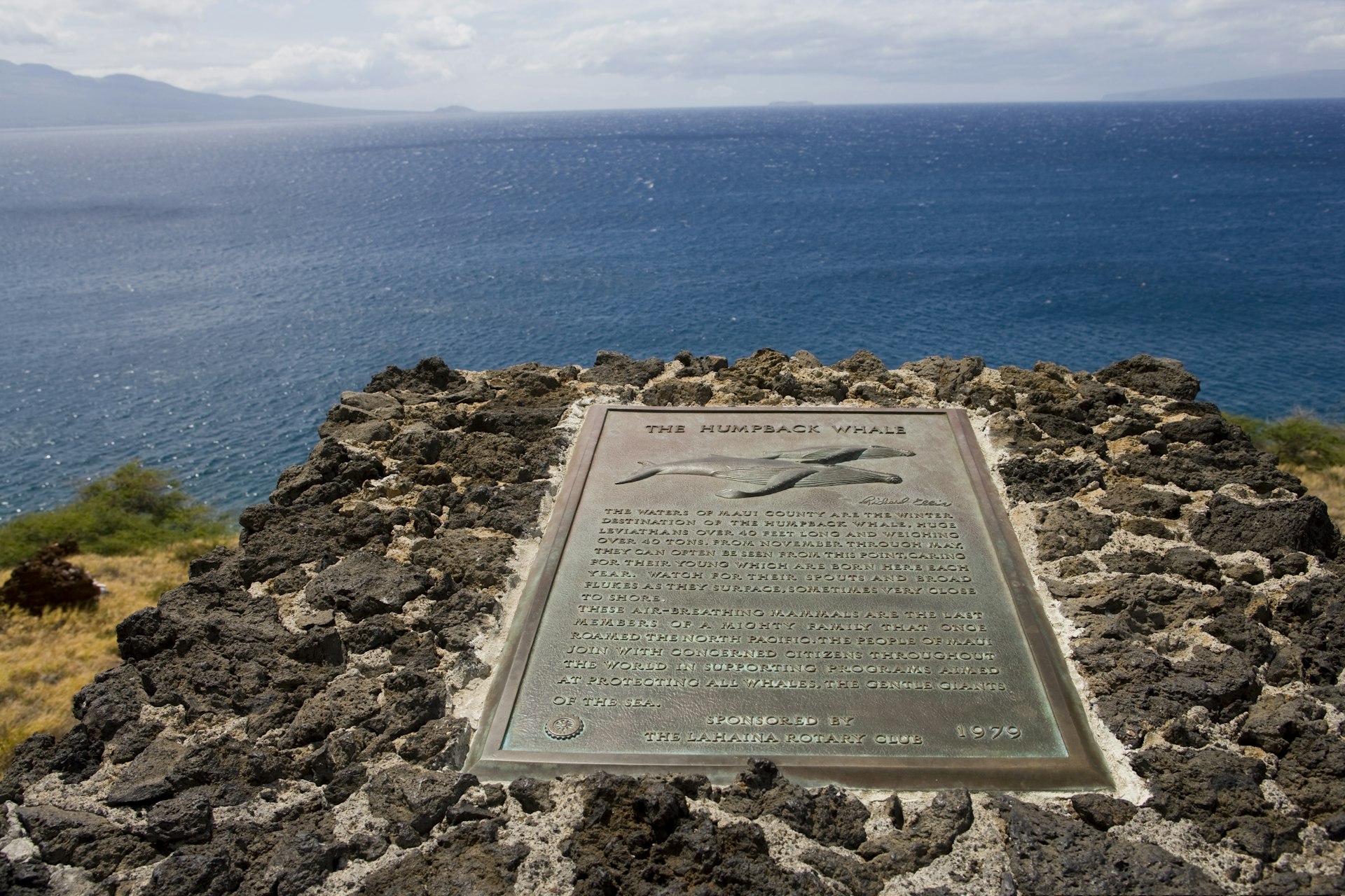 A plaque marking the common whale sightings at Papawai Point in West Maui, Hawaii