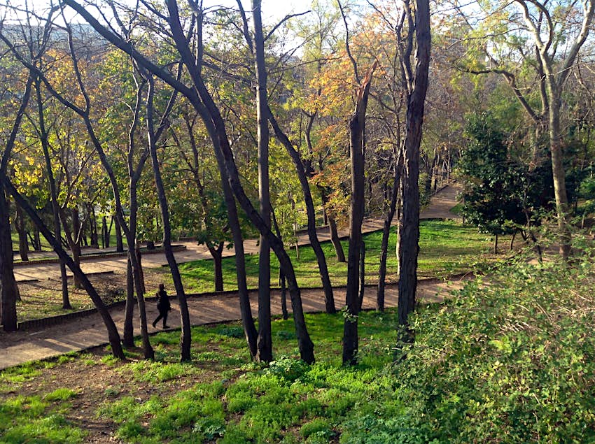 Person walking on a stone path among trees in Macka Park Person walking on a stone path among trees in Macka Park