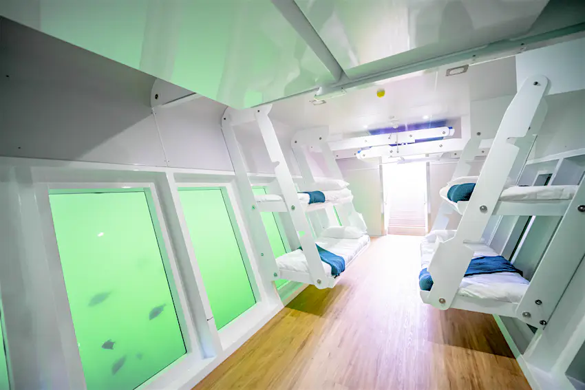 The lower deck is an under-water observatory, great for watching the marine life The lower deck is an under-water observatory, great for watching the marine life