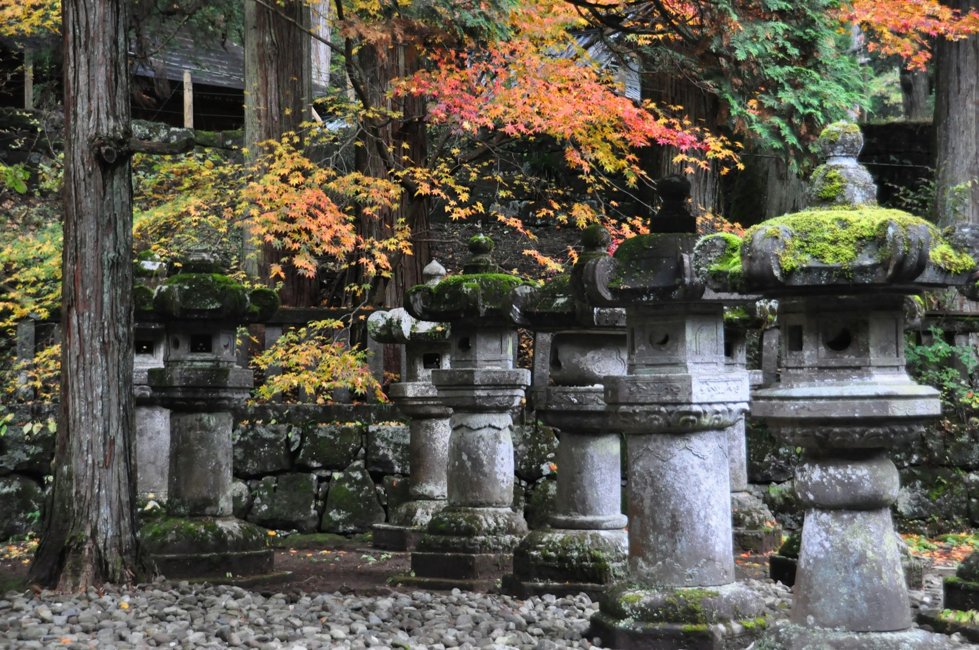 Stone lanterns at Toshogu Shrine, Nikko