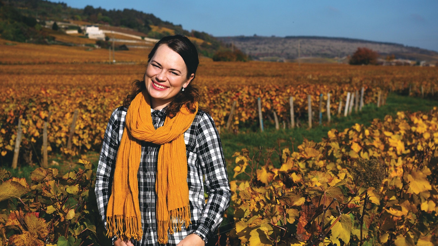 The changing colors of fall are beautiful to explore in Burgundy