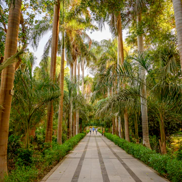 Aswan botanical gardens.