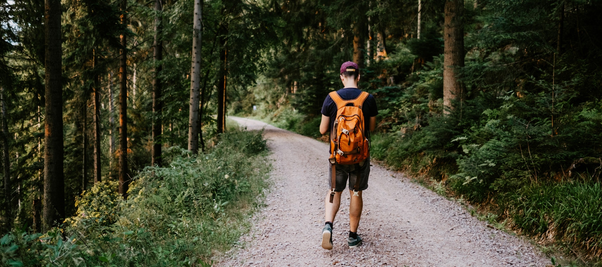 A man walking on a path through the Black Forest with tall trees each side