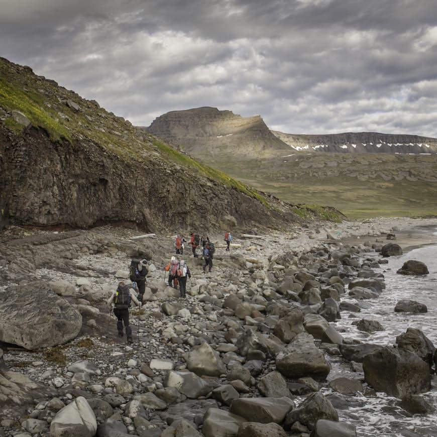 The ultimate guide to Hornstrandir Nature Reserve - Lonely Planet