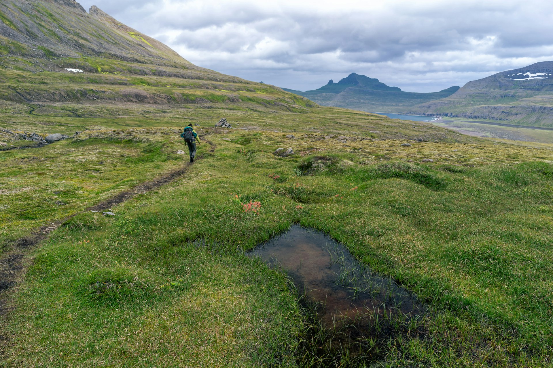 hornstrandir day trip