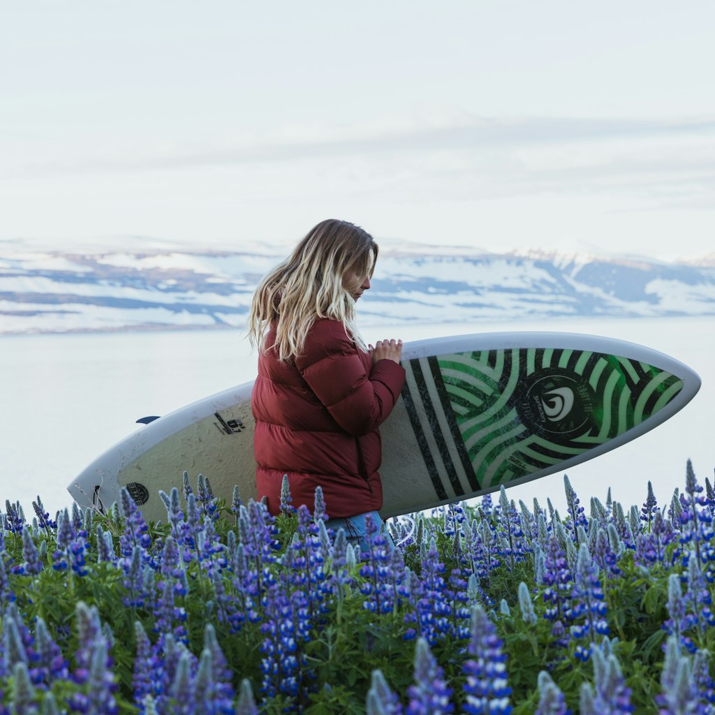 Surfer walks through field of purple flowers along the Icelandic coast.