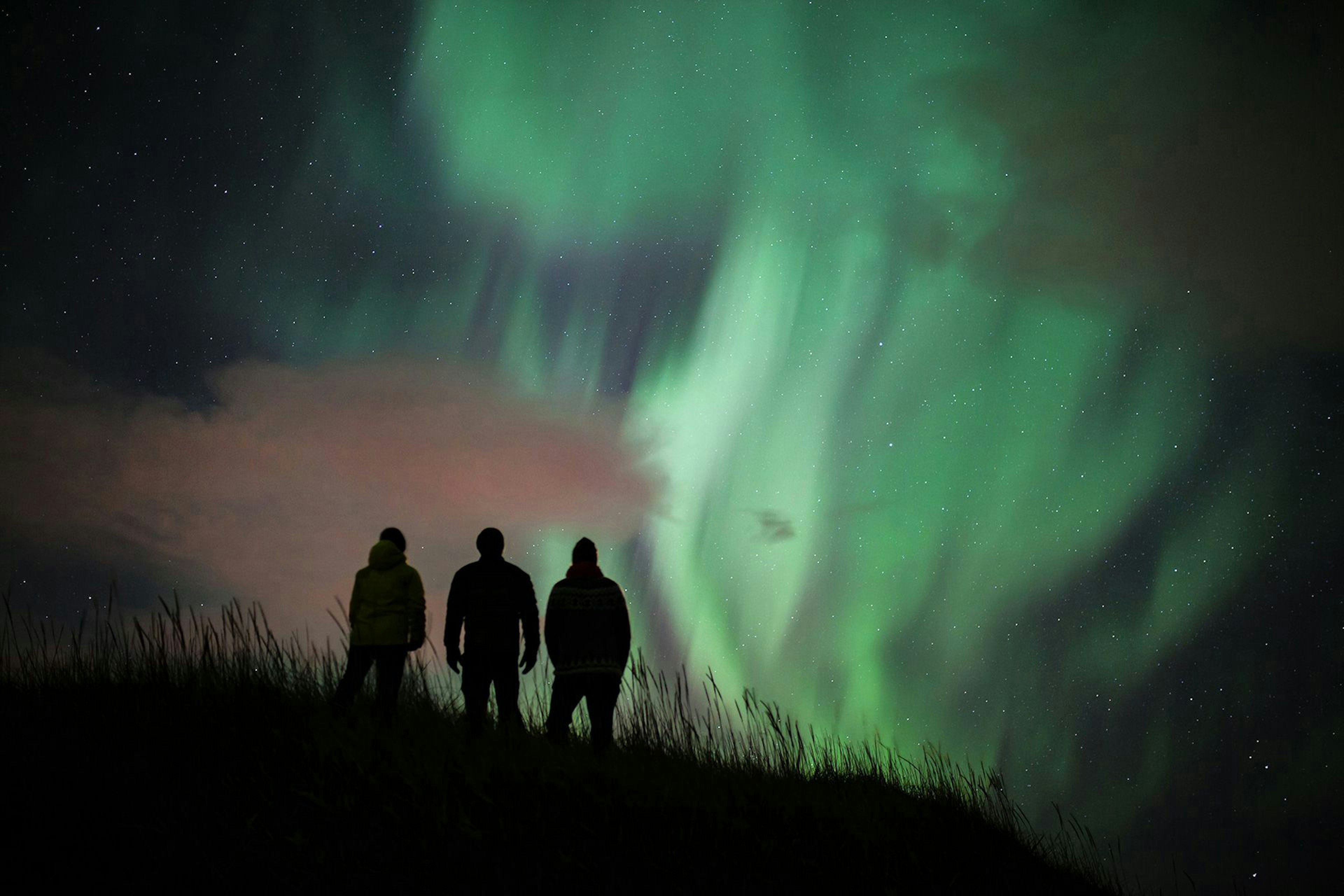 Stargazers watching the green northern lights in Iceland