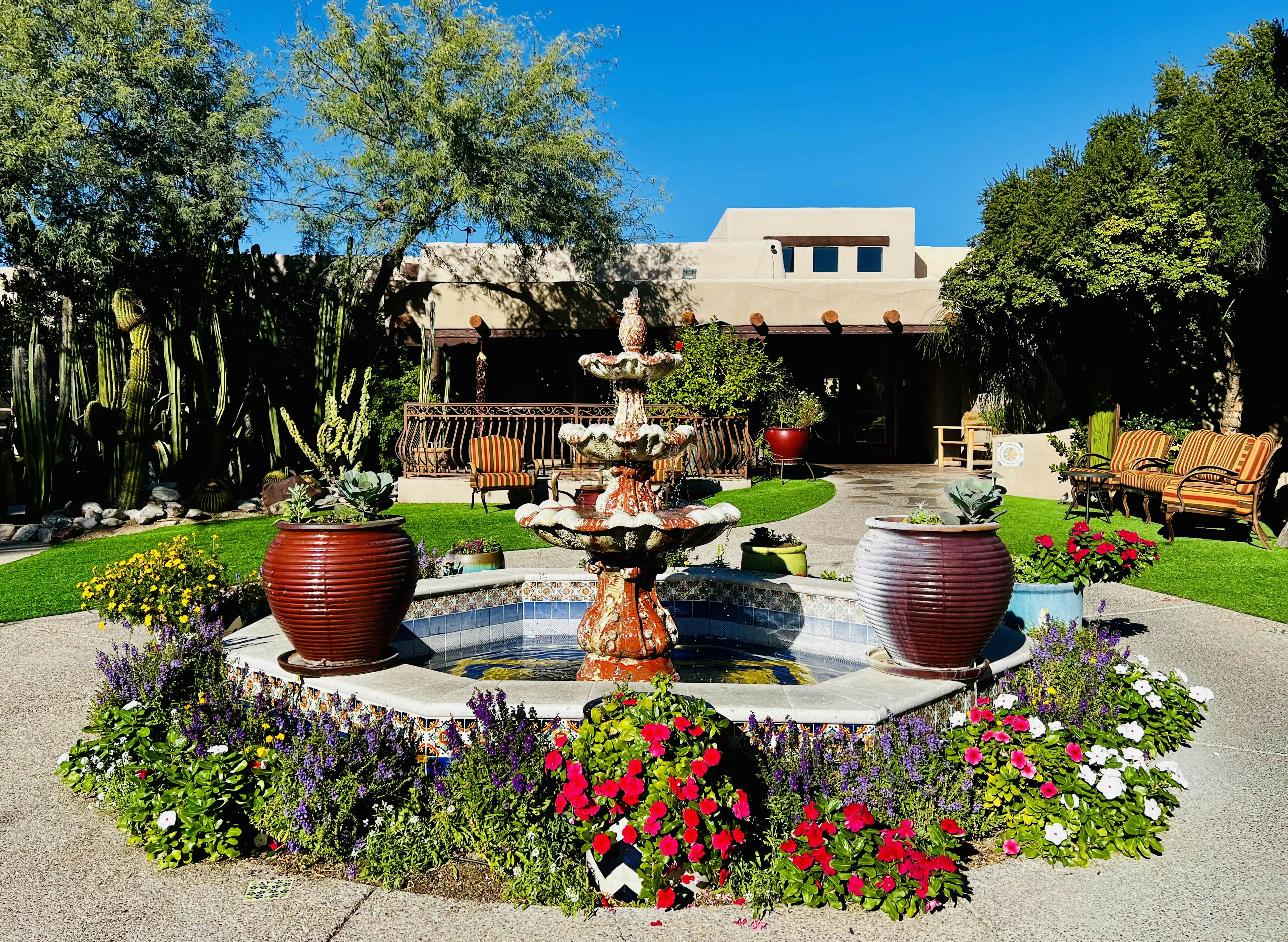 Tucson is the perfect destination for a wellness weekend - Lonely Planet