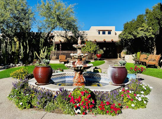 Tucson is the perfect destination for a wellness weekend - Lonely Planet