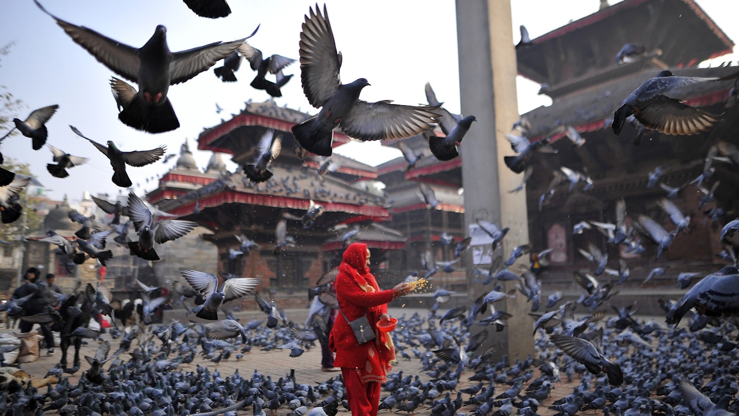 A woman feeding maize grains to pigeons at Basantapur Durbar Square, Kathmandu, Nepal on Wednesday, janauary 29, 2019. Basantapur Durbar Square is one of the three Durbar Squares in the Kathmandu Valley, which are listed as a UNESCO World Heritage Sites. 