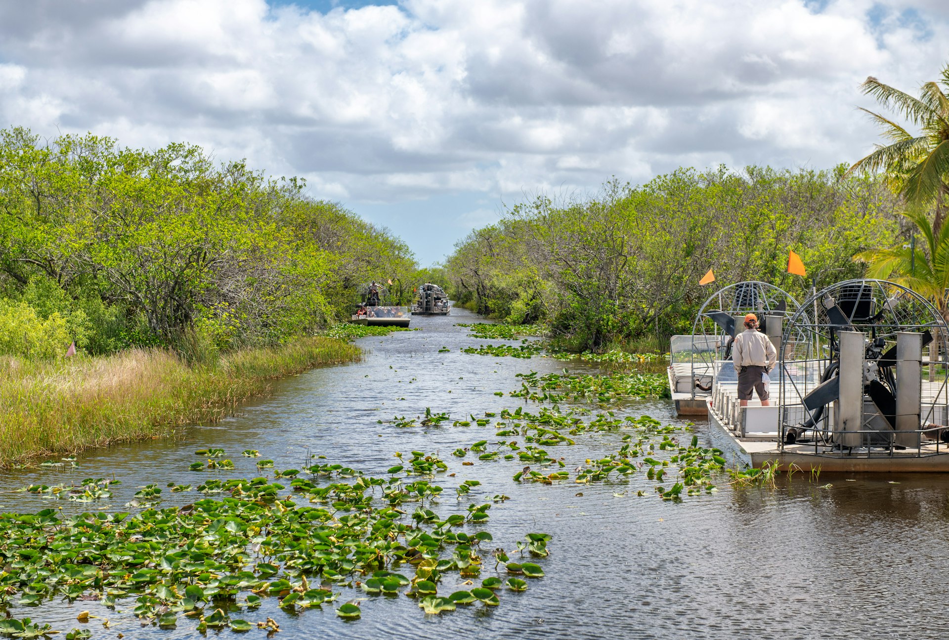 Everglades National Park boat tour