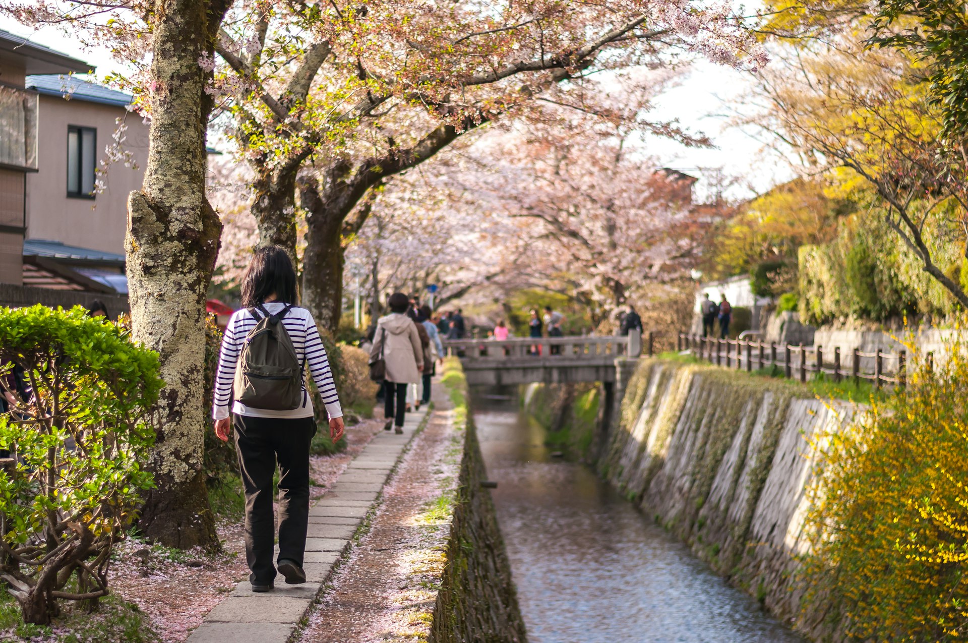 'The Path of Philosophy' (Tetsugaku no michi), which is a well-known riverside cherry blossom area.