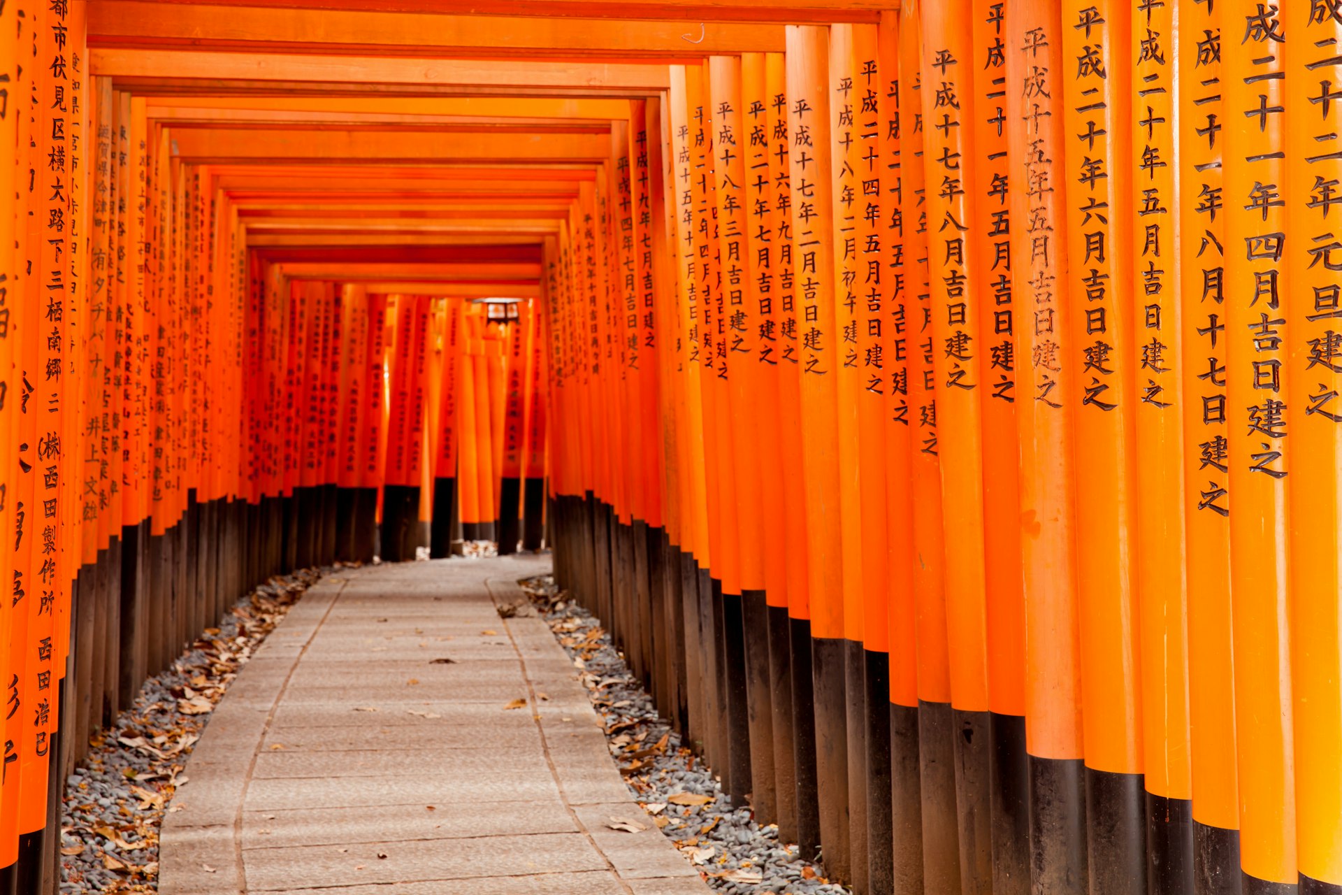 Some of the thousands of bright vermillion torii (gates) at Fushimi Inari-Taisha, Kyoto, Japan