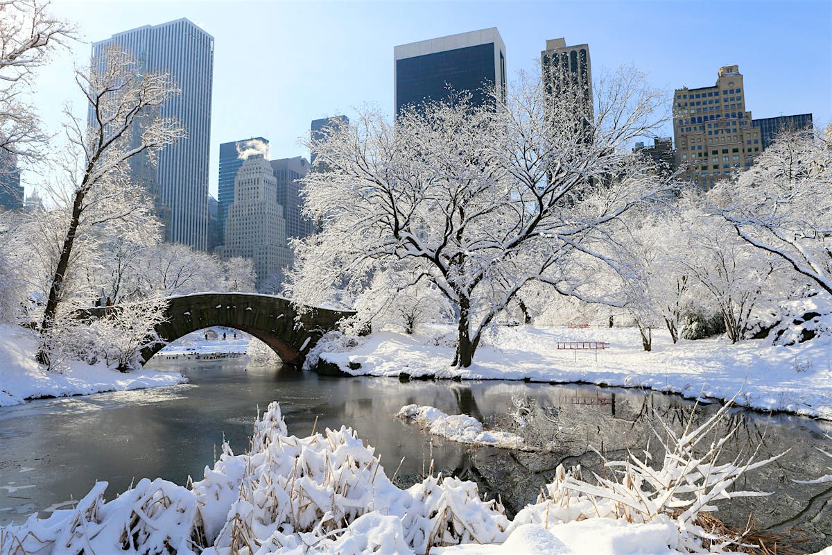 Снег сток. Централ парк Нью Йорк зима. Нью-Йорк Центральный парк зима. Нью джерси зима Центральный парк. Нью Йорк в феврале Центральный парк зимой.