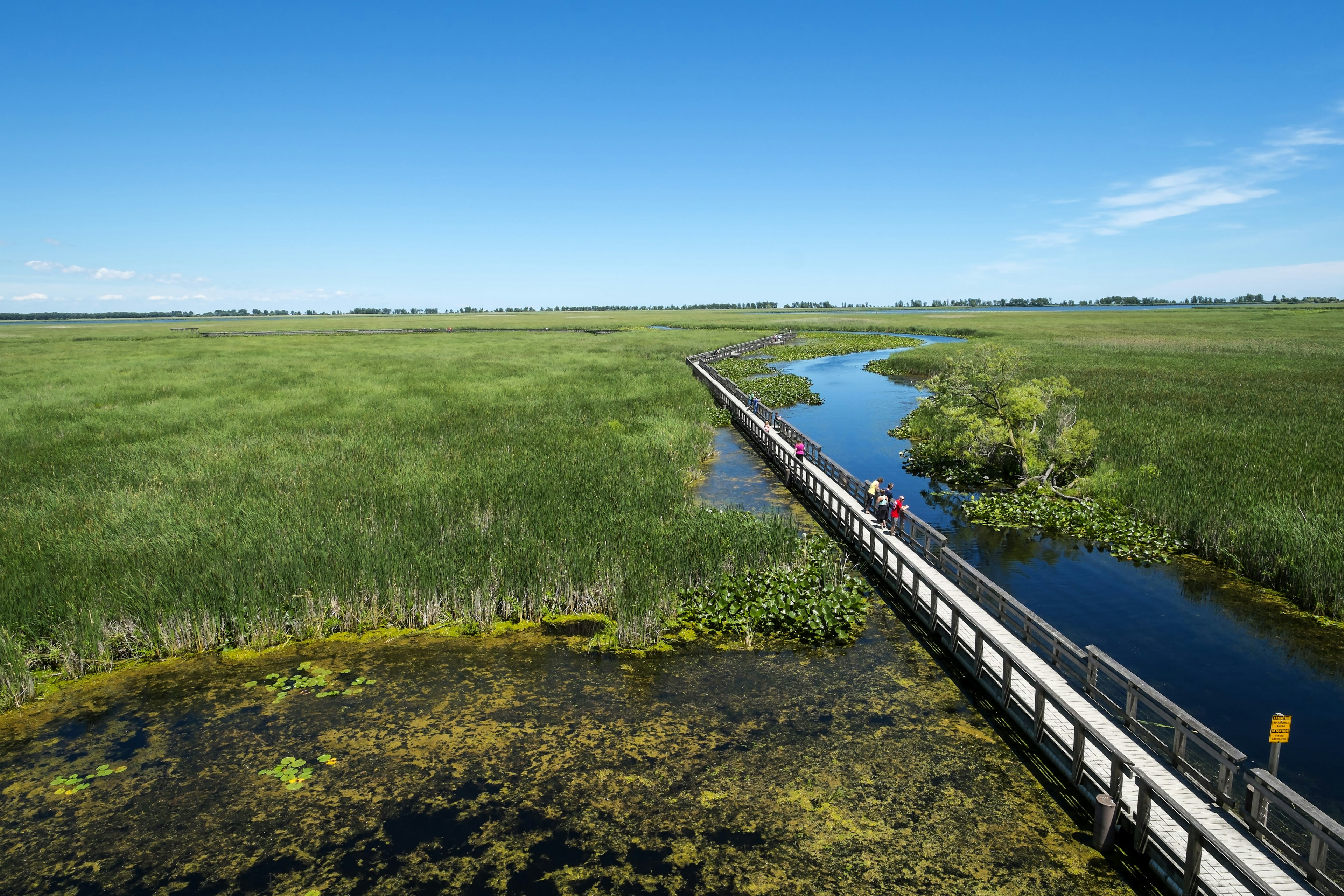 People on the wooden Marsh Boardwalk in Point Pelee National Park