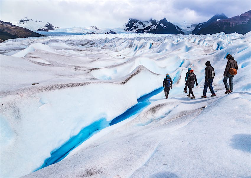 Five people in brown and dark clothes trek along the icy surface of the Perito Moreno glacier which is bright snowy white with a brilliant ribbon of glacier blue cutting through it