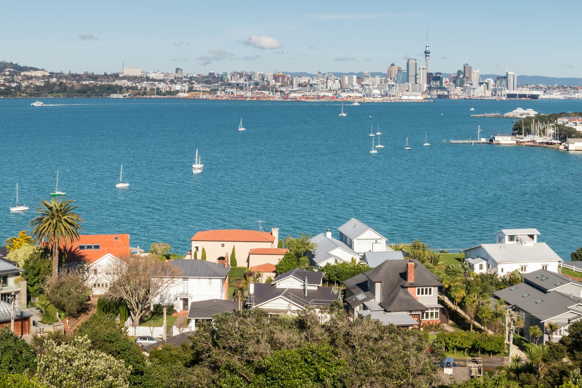 Bayside houses in the Devonport suburb with the Auckland city skyline beyond. 