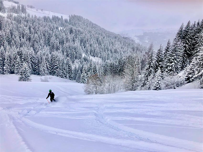 Un skieur se fraie un chemin à travers une belle scène hivernale. 