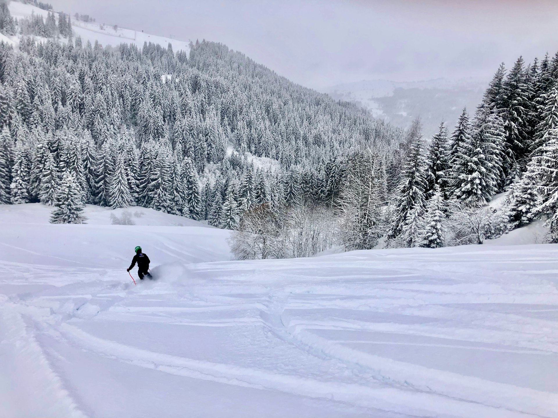 A skier carves their way through a beautiful winter scene. 