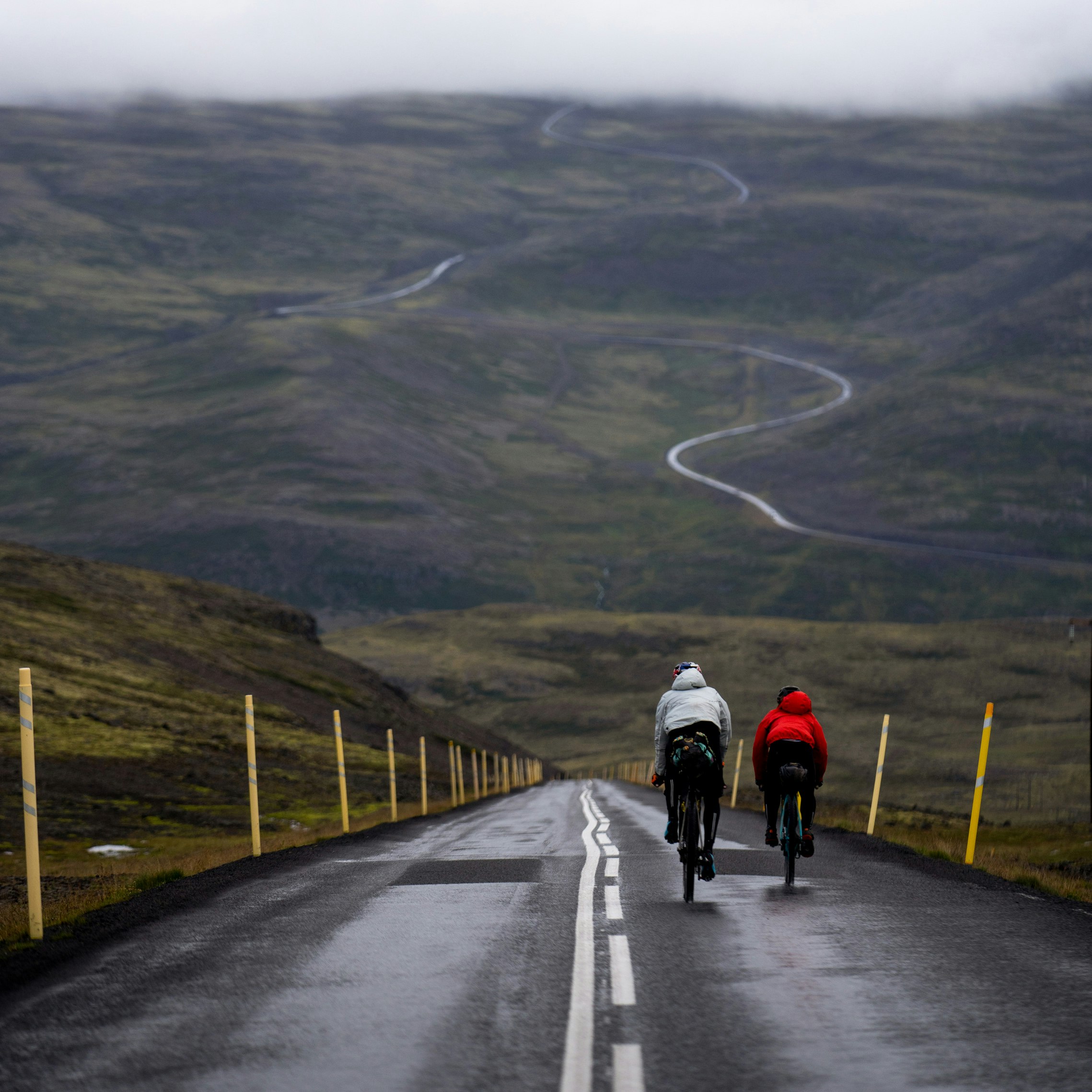 The group on bicycles crests a large hill with a sweeping view of winding roads ahead of them.