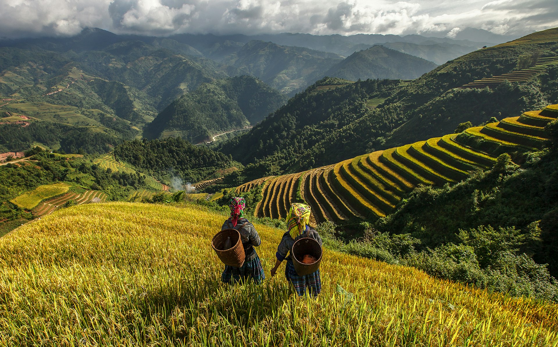 Two farmers wearing tribal dress and carrying baskets on their backs look out over the green rice fields in a mountainous area