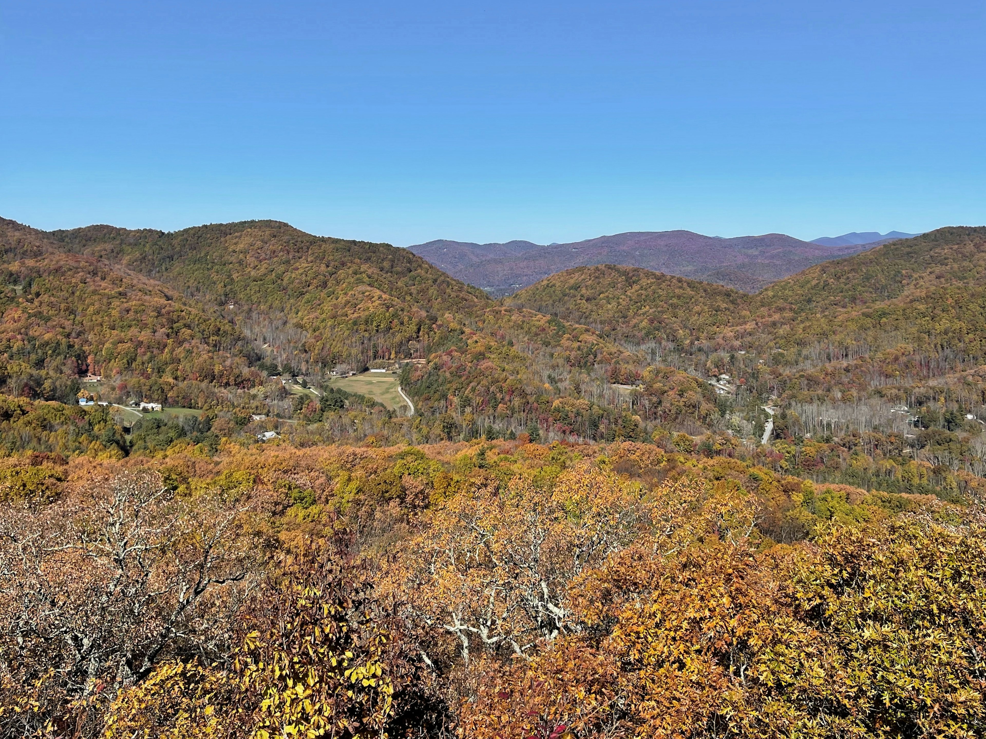 Amanda-McCdams-Asheville-WildcatRockTrailOverlook.jpeg