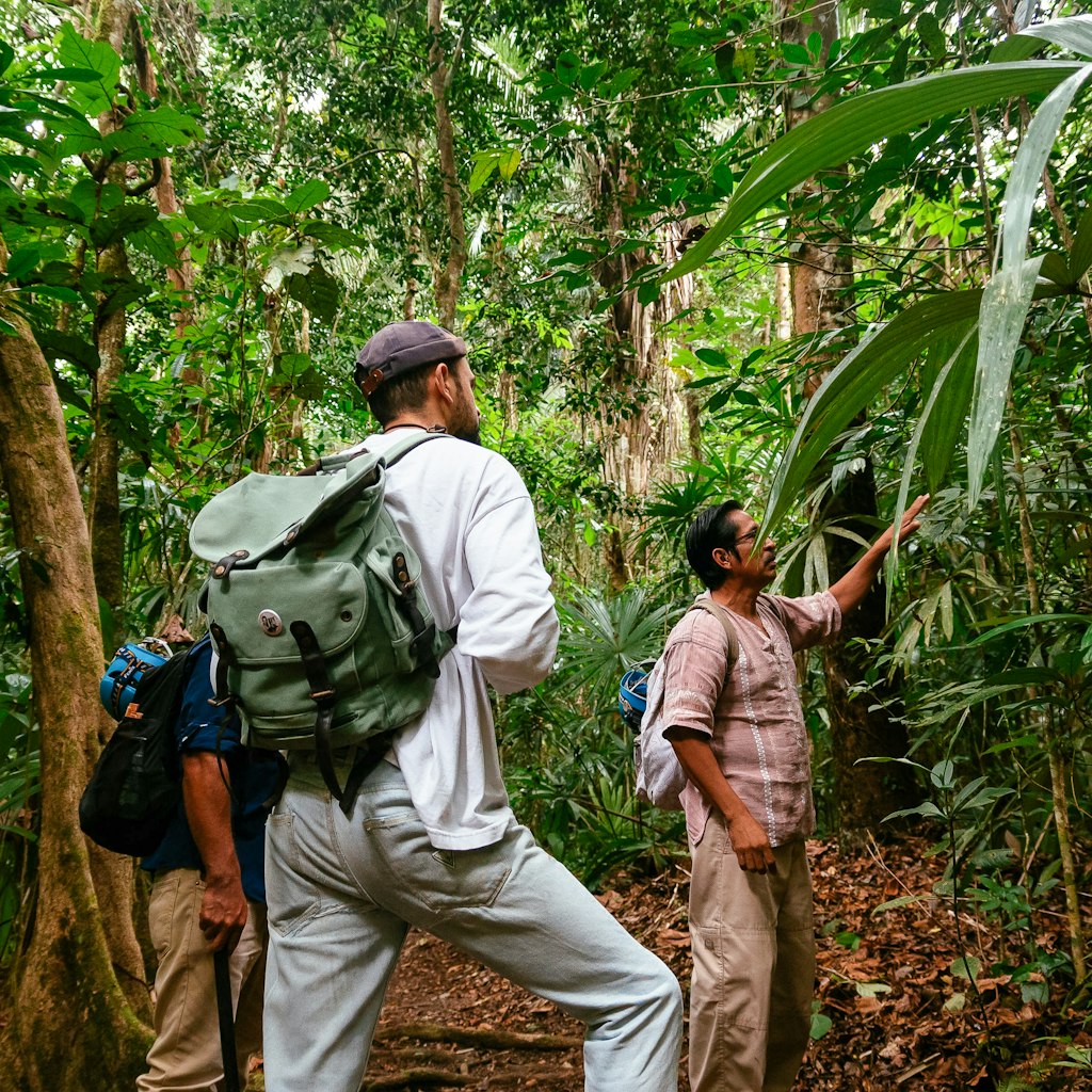Guide Jose Magaña, a practicing Mayan healer who’s well-versed in the native flora of Elijio Panti National Park, teaching Alex Schechter.
