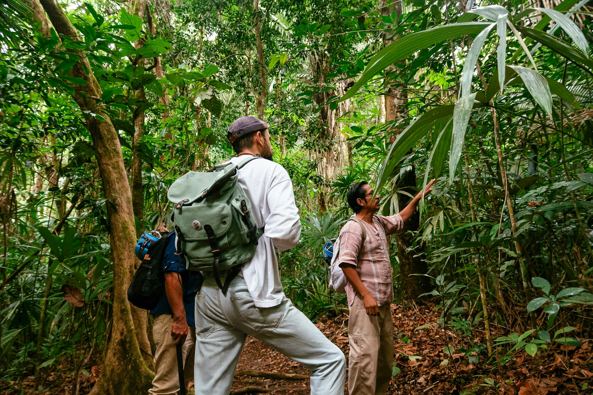 Guide Jose Magaña, a practicing Maya healer who’s well-versed in the native flora of Elijio Panti National Park, teaching Alex Schechter.