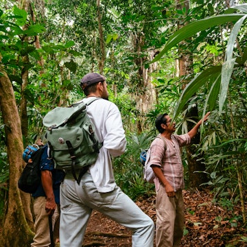 Guide Jose Magaña, a practicing Mayan healer who’s well-versed in the native flora of Elijio Panti National Park, teaching Alex Schechter.