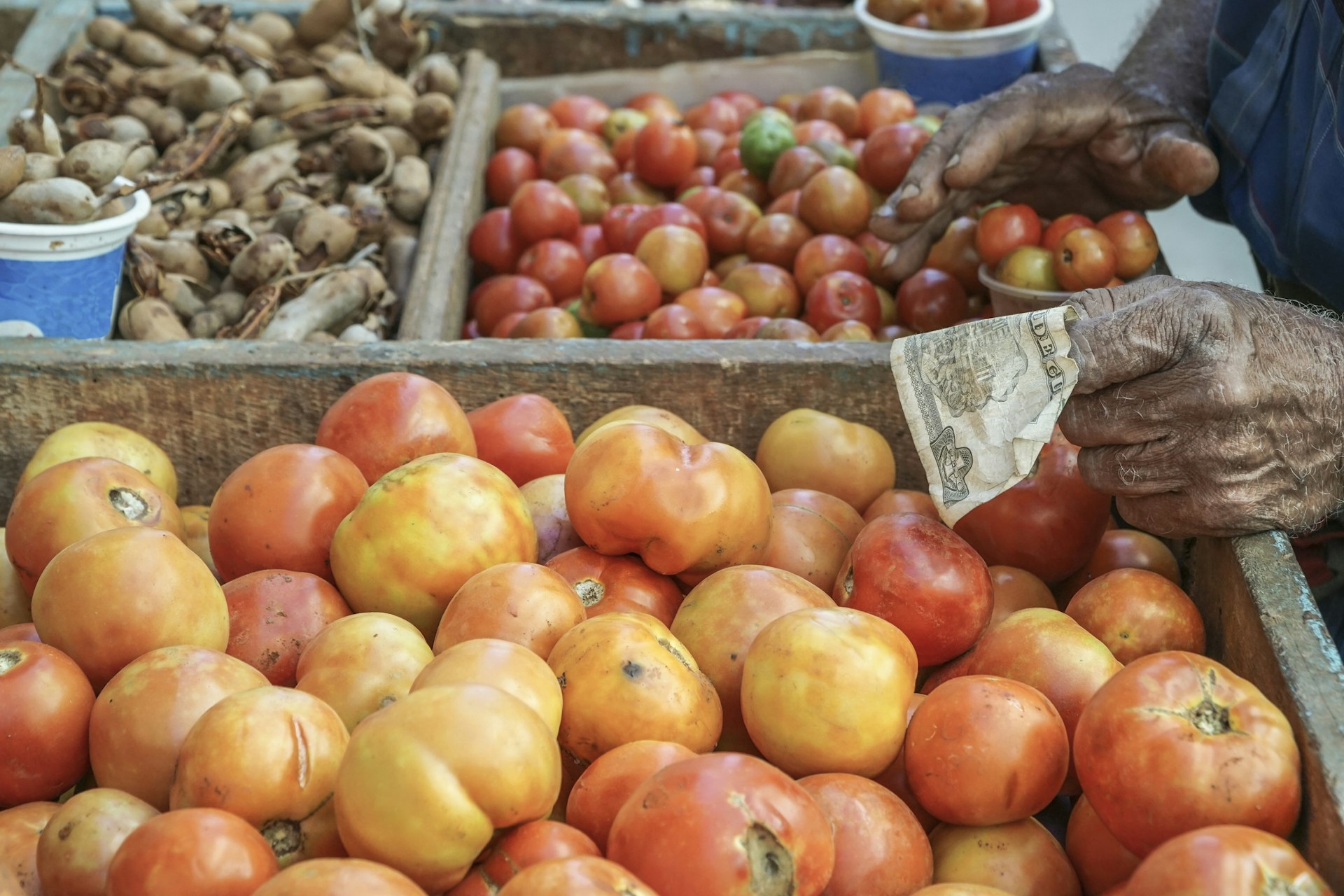 A close-up of a male hand holding a Cuban Peso note against tomatoes in an open market in Cuba