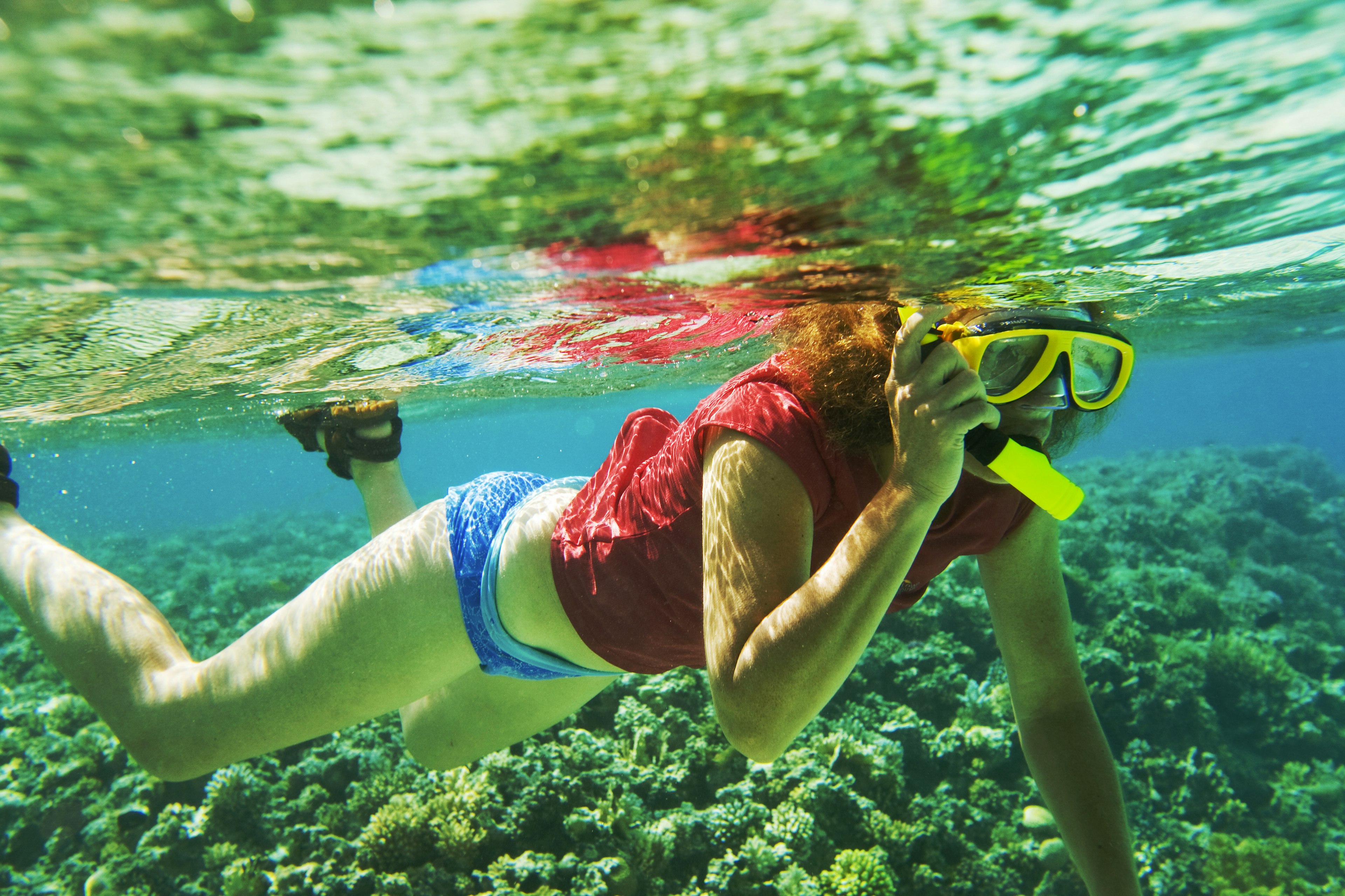 A woman snorkelling on a coral reef near Dahab in the Red Sea, Egypt.