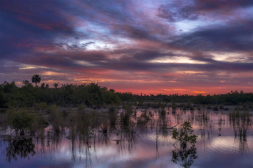 Antes del amanecer sobre el pantano y los manglares en el Refugio Nacional de Vida Silvestre 10,000 Islands cerca de Naples, Florida