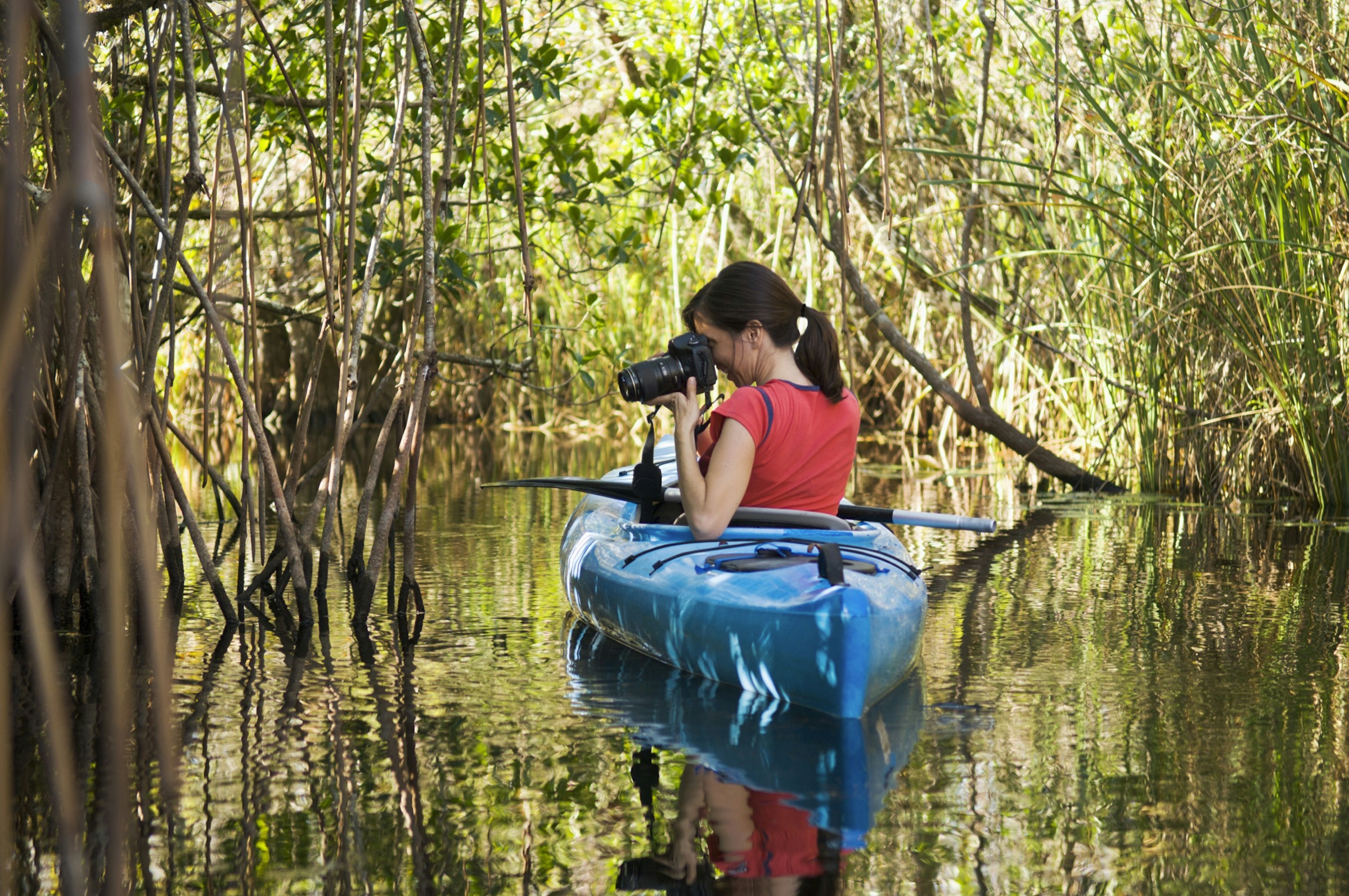 A woman takes a photo from a kayak in the Everglades
