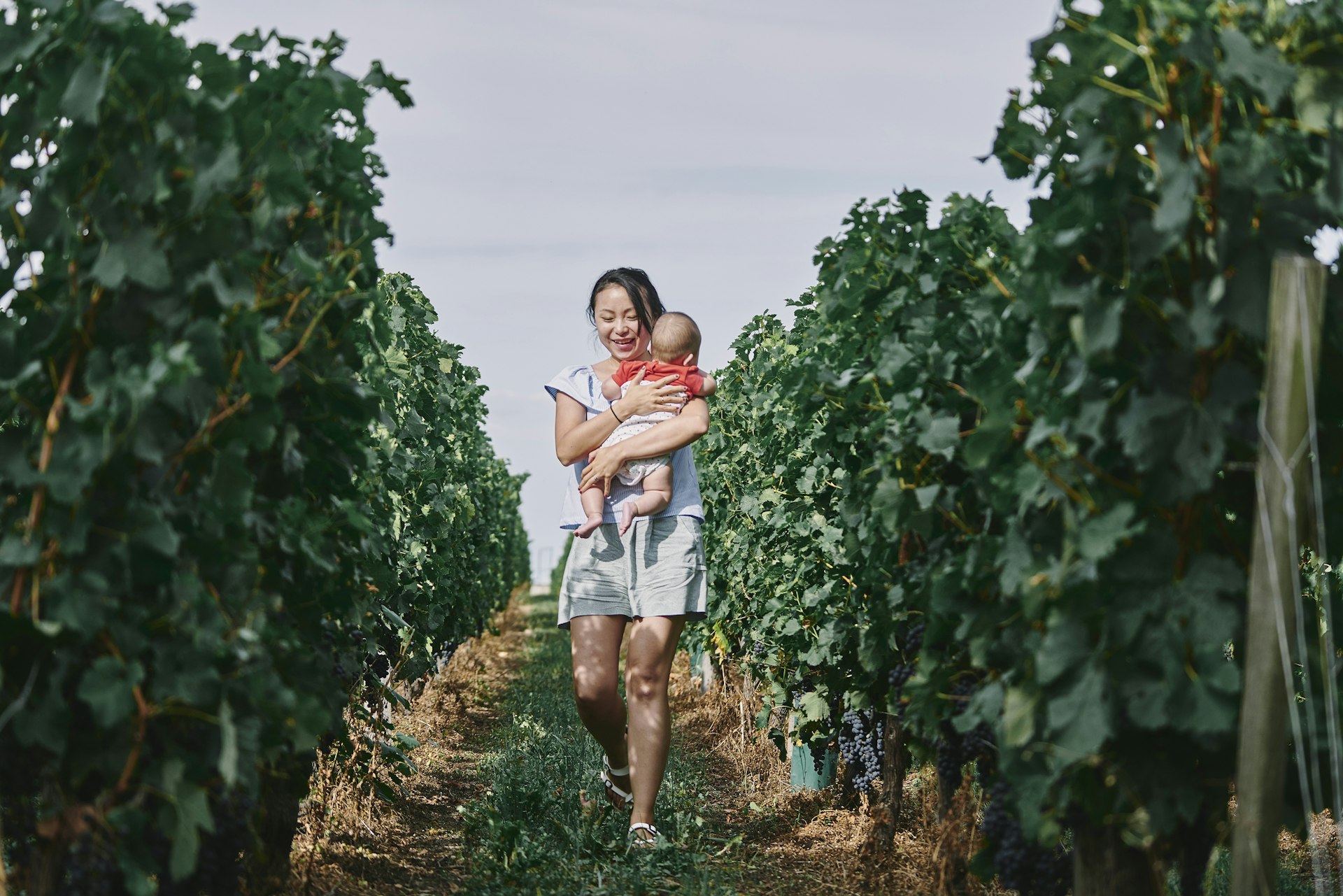 Woman carrying baby girl through vineyard, Bergerac, Aquitaine, France