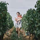 A woman carries her baby through the vines of a French vineyard