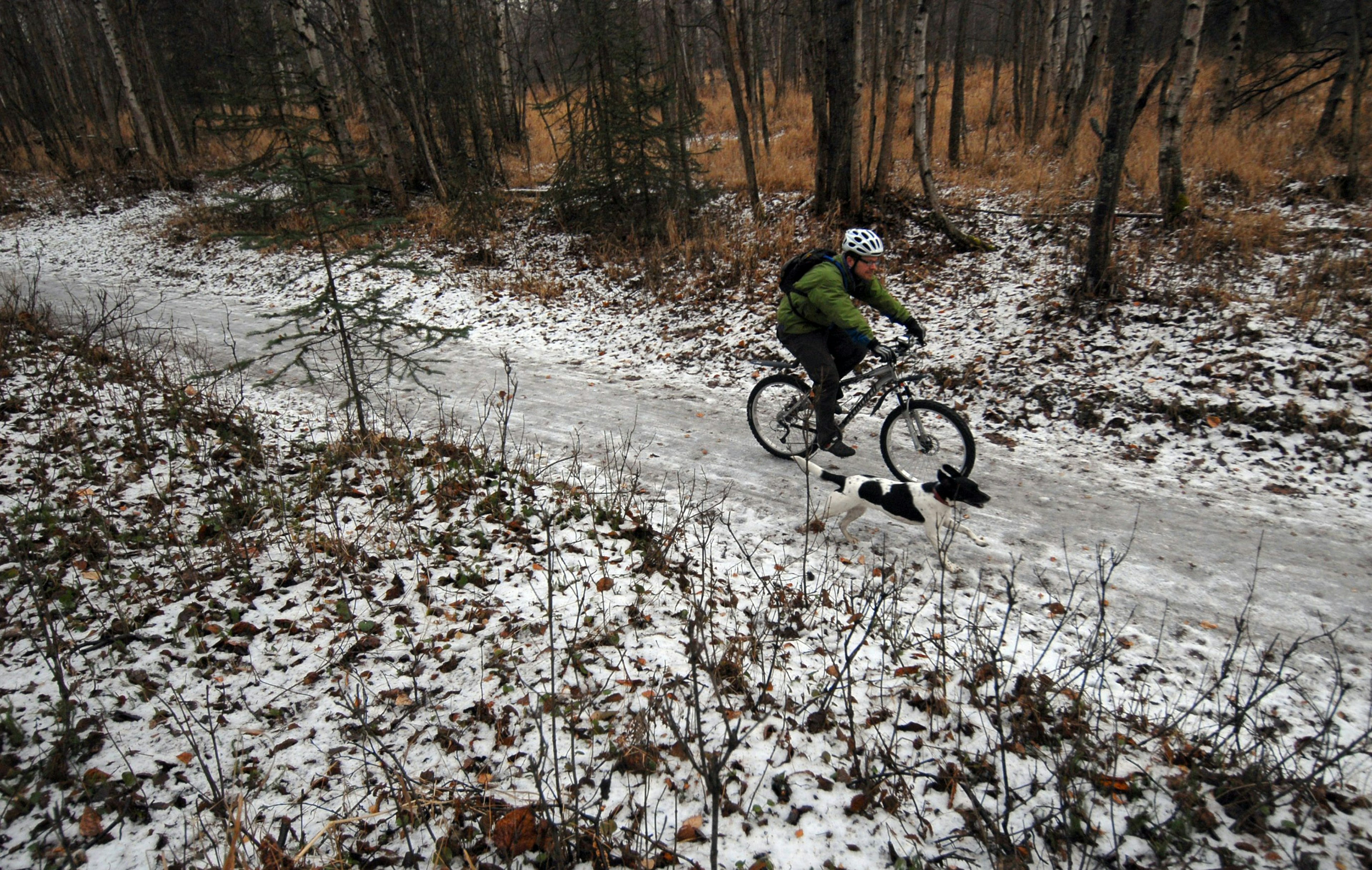 A cyclist rides down a snowy trail accompanied by a dog in Far North Bicentennial Park