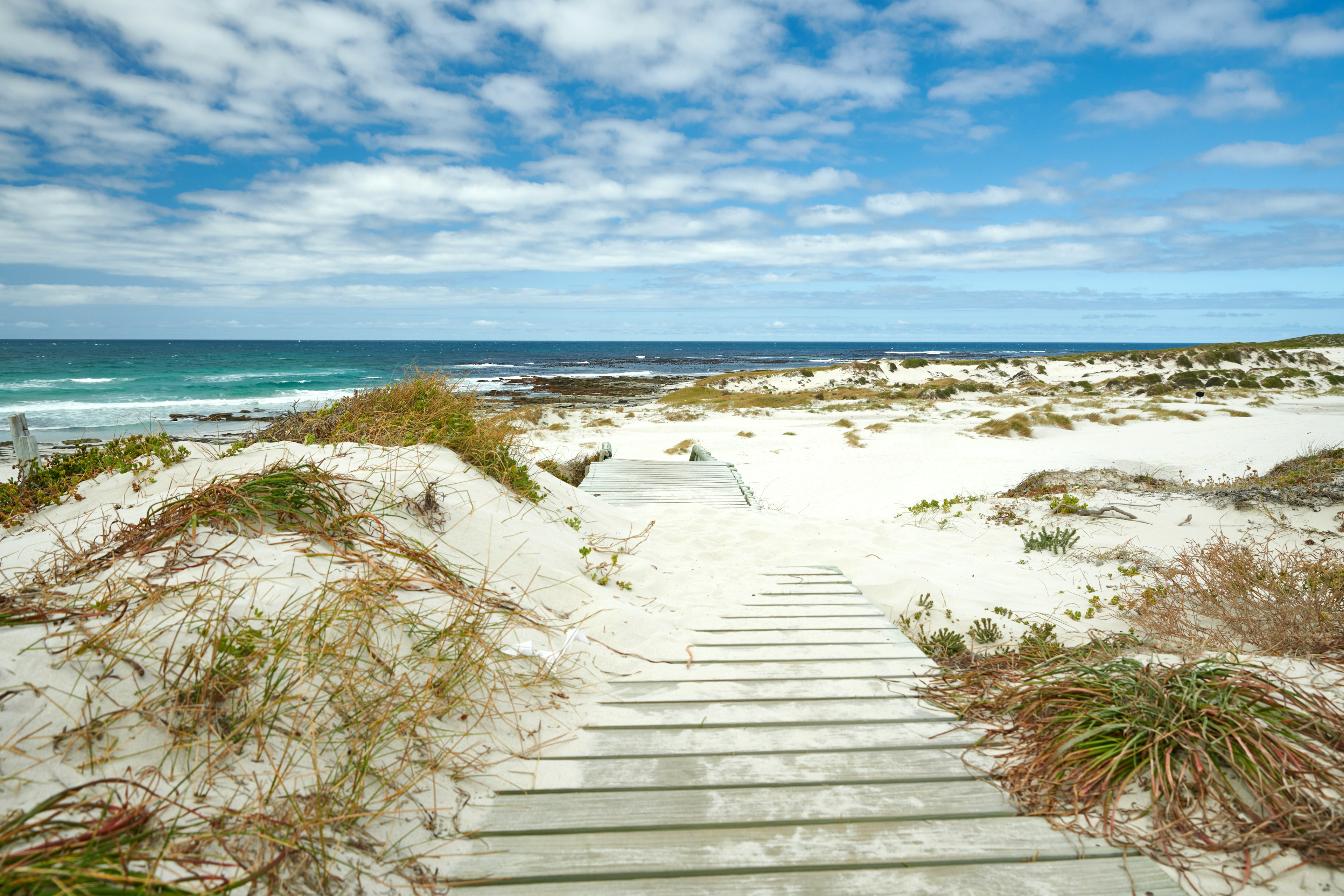 Empty dunes at Platboom Beach