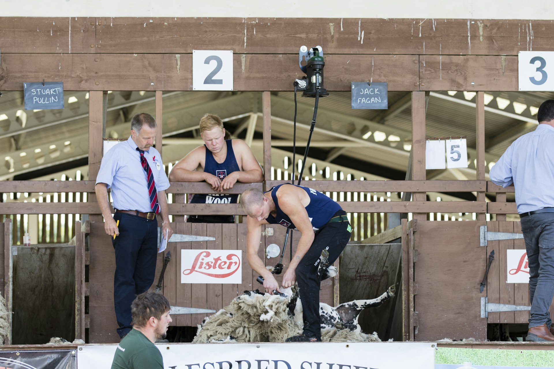 A sheep shearing competition