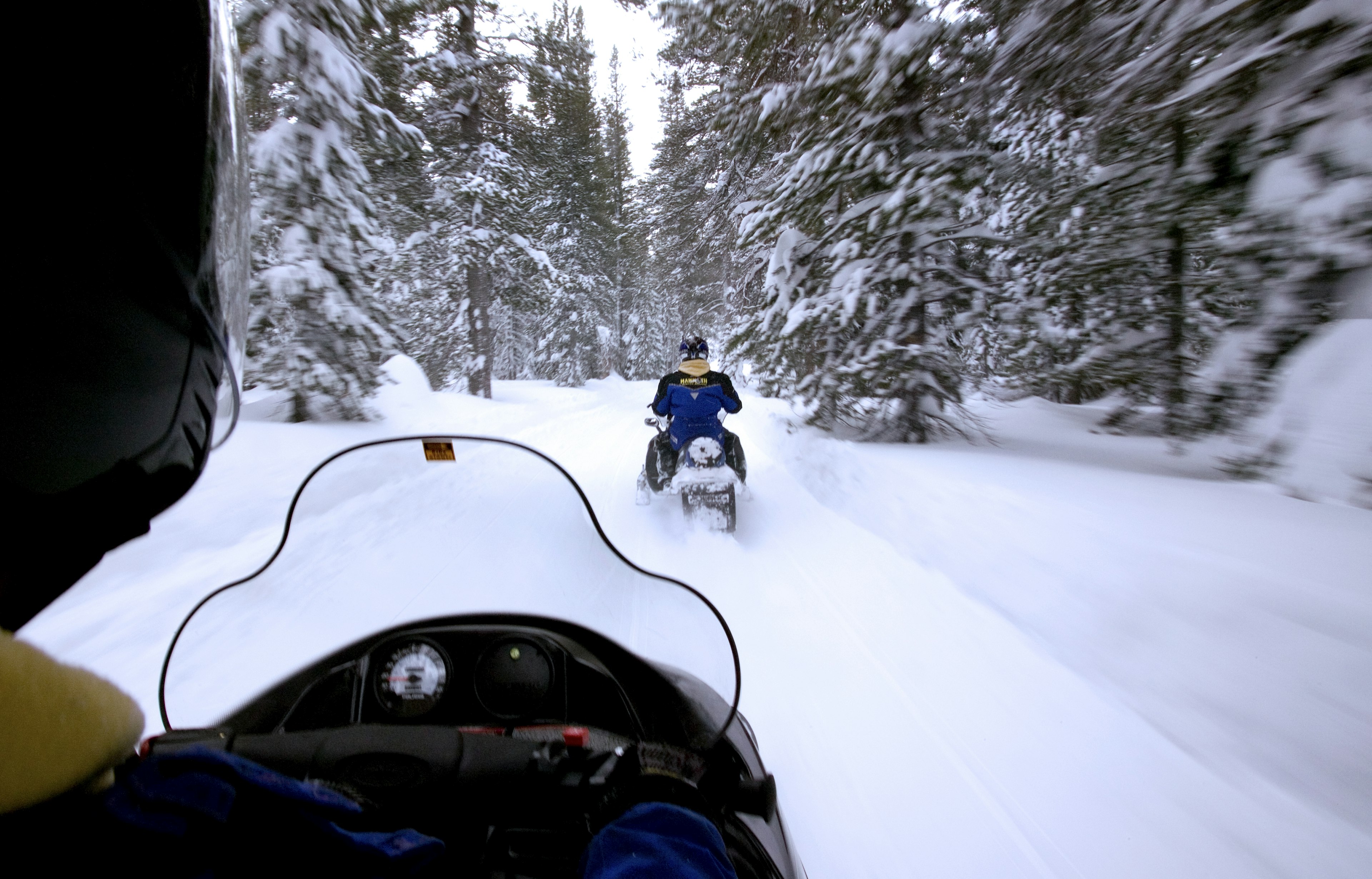 Snowmobiling in Inyo National Forest - stock photo California
