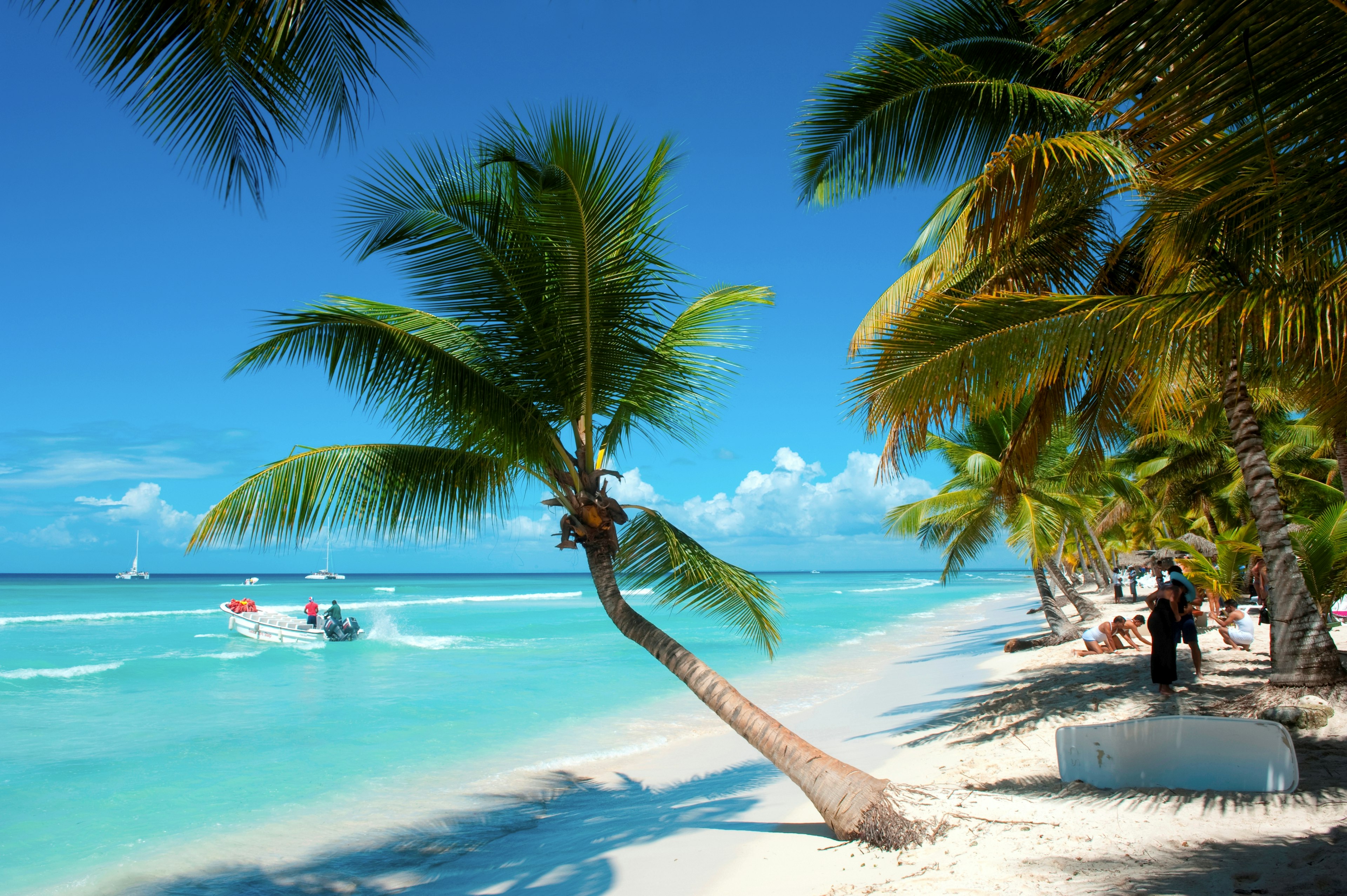 A palm tree bends and casts a shadow on a sparsely peopled beach in Saona Island, Dominican Republic