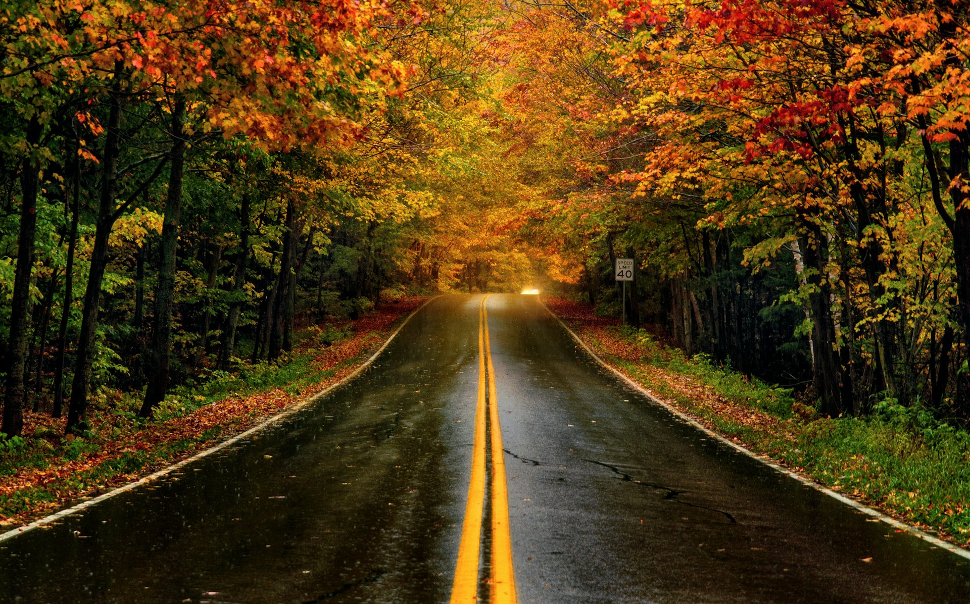 Colorful fall foliage surrounding a car-free road in Vermont
