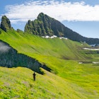 A girl walking through flowering meadows over Hornbjarg cliffs, Hornstrandir peninsula, Westfjords, Iceland.