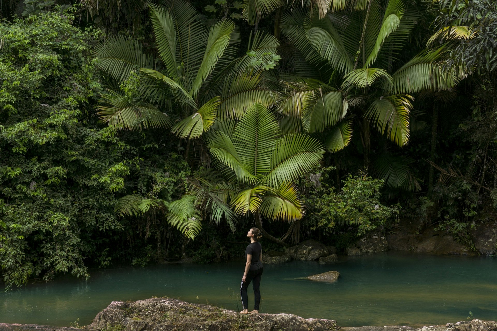 Full-length shot of woman standing on rocks at lake shore against lush trees in El Yunque National Forest